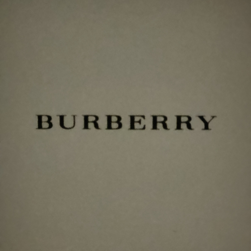 BURBERRY Classic Brown and Beige Watch Box